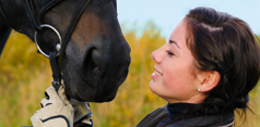 Pferdeversicherungen - Risiken und Versicherungslösungen für Pferdebesitzer