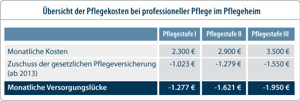 Pflegekosten bei professioneller Pflege im Pflegeheim